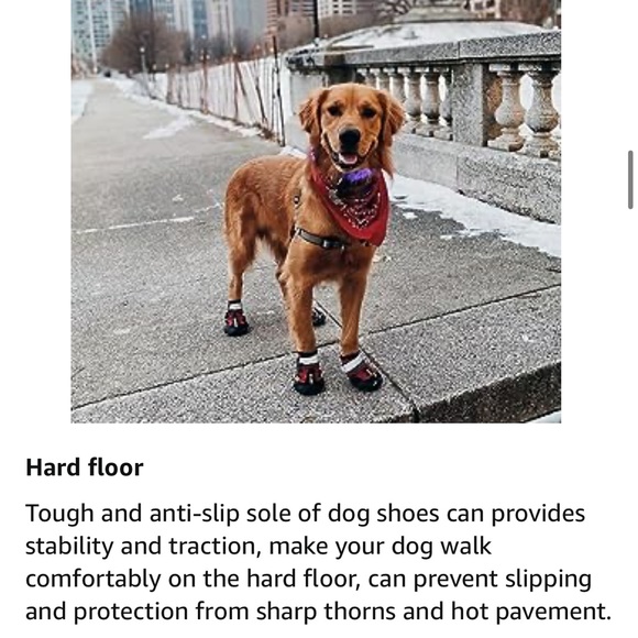 Qumy Pets shoes (2 sets) - Picture 14 of 15